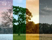 Seasons